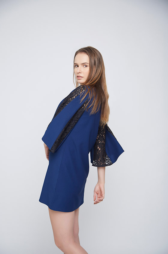 Blue Dress Black Net Pannel Sleeves - Back