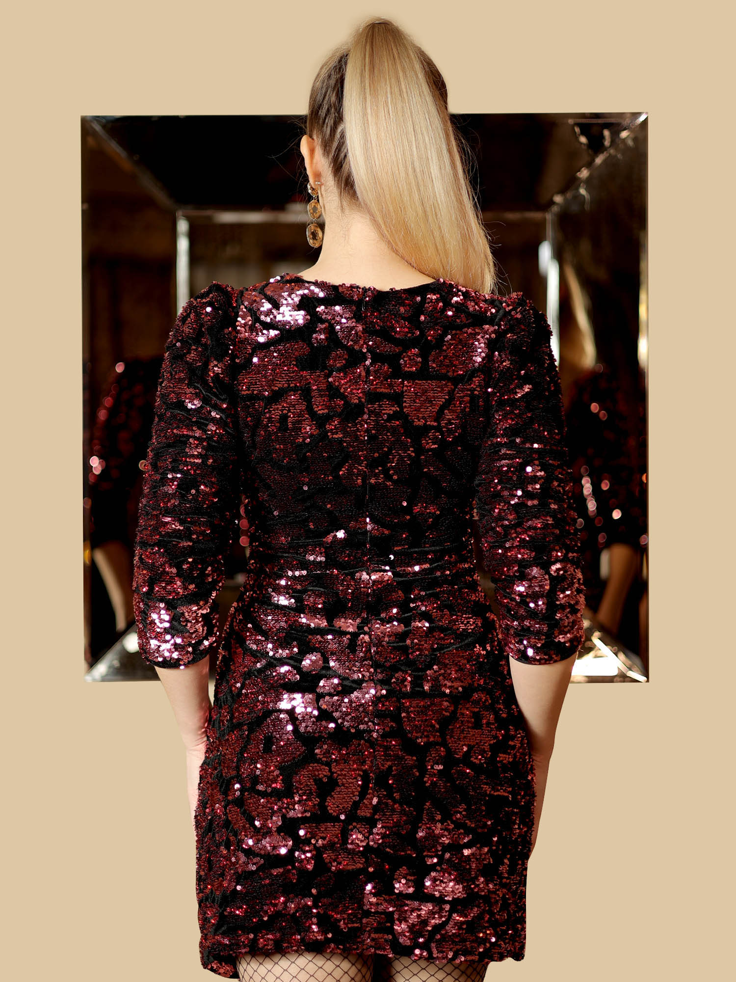 Sequin Velvet Bodycon Dress - Back